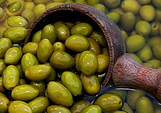 Греческие оливки – самые знаменитые?