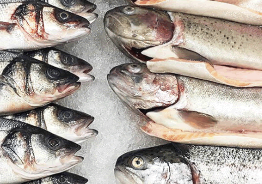 Можно ли купить вкусную и свежую рыбу в Москве
