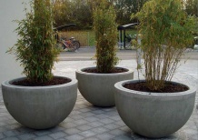 Бетонные вазоны: стиль и практичность в оформлении городского и домашнего зеленого пространства