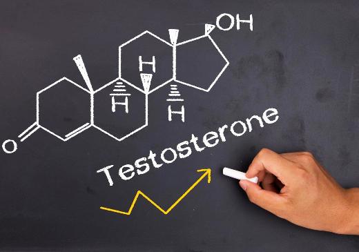 Тестостерон и как повысить его уровень