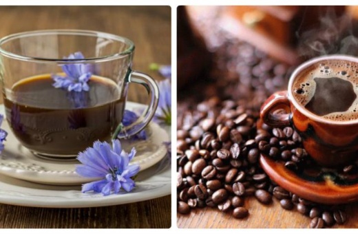Кофе vs цикорий: возможна ли замена?