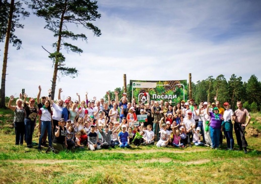 По итогам конкурса волонтерских посадок было восстановлено 13,5 гектаров леса