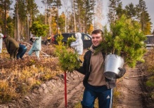 600 тысяч деревьев высадили лесные волонтеры России осенью 2022 года
