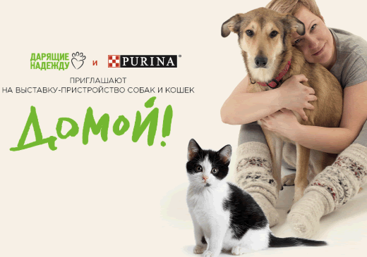 Возьми из приюта «Домой!»: PURINA и фонд «Дарящие надежду» организуют новогоднюю выставку-пристройство бездомных животных