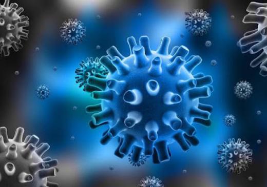 Вирус простого герпеса: очень распространен и довольно опасен