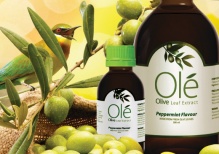 Уникальная новинка от QNET — экстракт оливковых листьев OLE