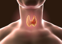 Все время устаю: какие анализы важно сдать, чтобы проверить щитовидную железу 