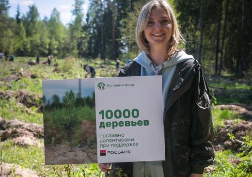 Итоги сезона: волонтеры высадили более 65 тысяч молодых деревьев в российских регионах 