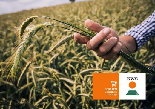 Компания КВС РУС в конце мая 2021 года запускает свой собственный  B2B онлайн-магазин семян для сельхозпроизводителей в России