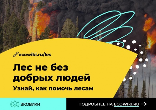 В России стартовал марафон против лесных пожаров