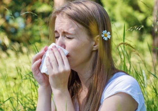 Аллергия на траву тимофеевку: как выявить и назначить подходящее лечение