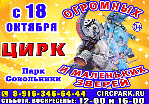 Для всех любителей животных до 28 декабря открыты двери цирка в Сокольниках