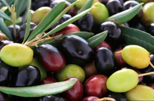 Оливки и маслины – две стороны одной медали