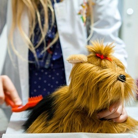 Mars и «Свой доктор» открывают ветеринарную клинику в детском городе мастеров